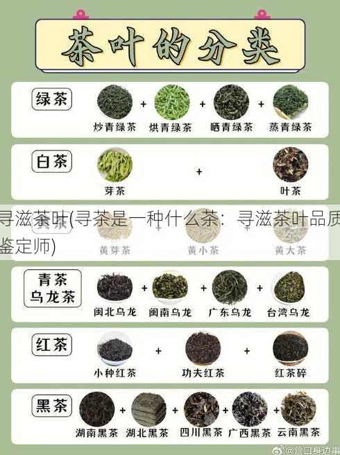 寻滋茶叶(寻茶是一种什么茶：寻滋茶叶品质鉴定师)