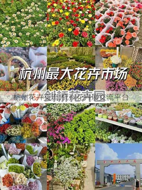 杭州花卉交流;杭州花卉展交流平台