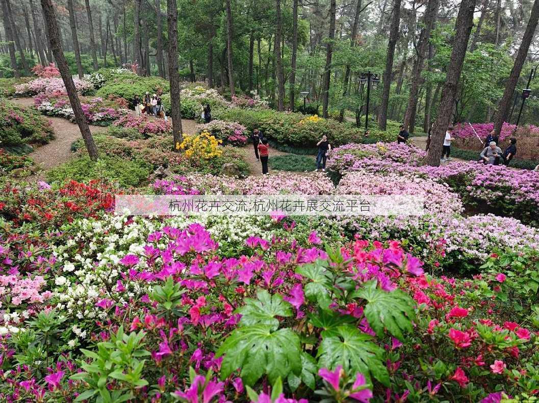 杭州花卉交流;杭州花卉展交流平台