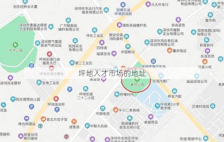 坪地人才市场的地址