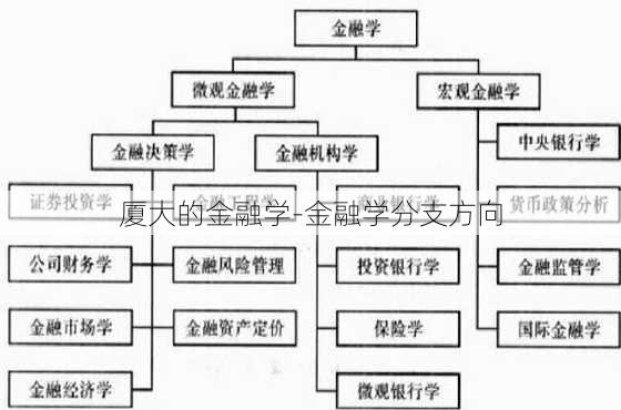 厦大的金融学-金融学分支方向