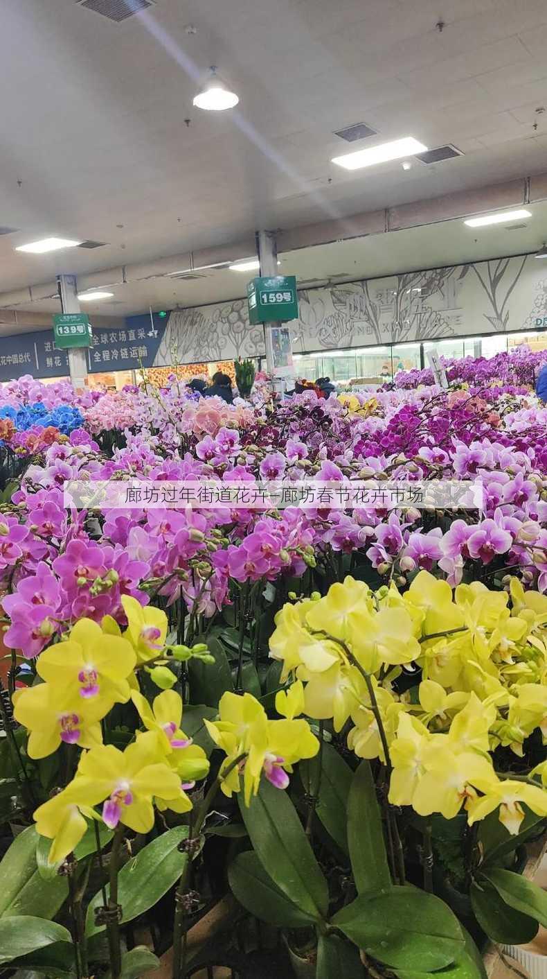 廊坊过年街道花卉—廊坊春节花卉市场