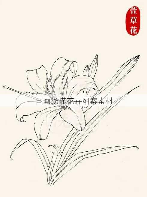 国画线描花卉图案素材