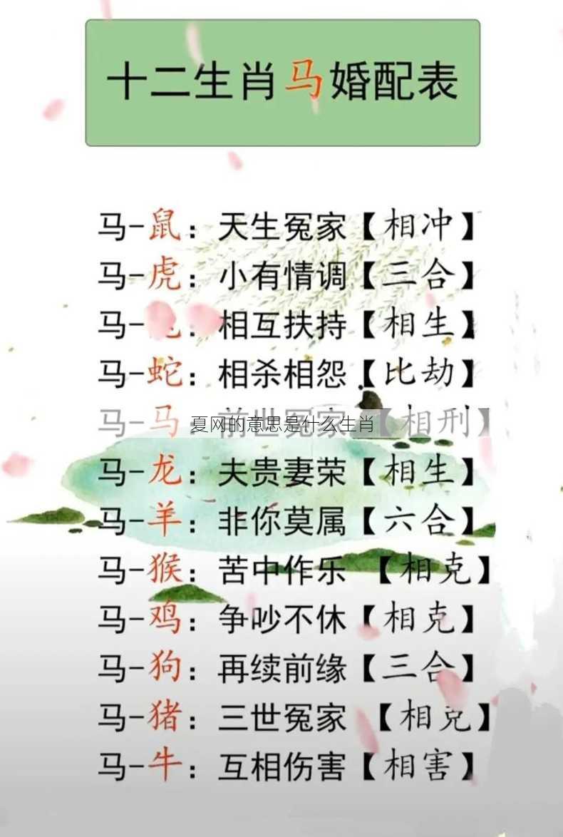 夏网的意思是什么生肖