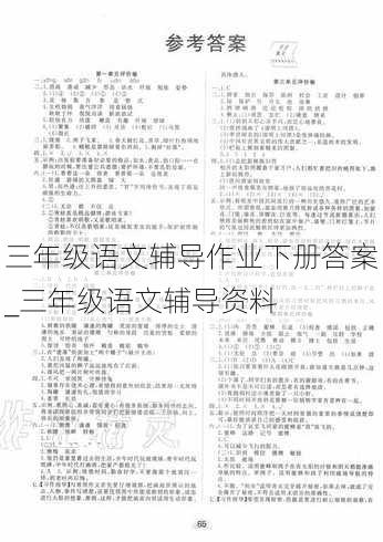 三年级语文辅导作业下册答案_三年级语文辅导资料