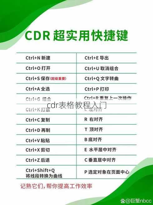 cdr表格教程入门