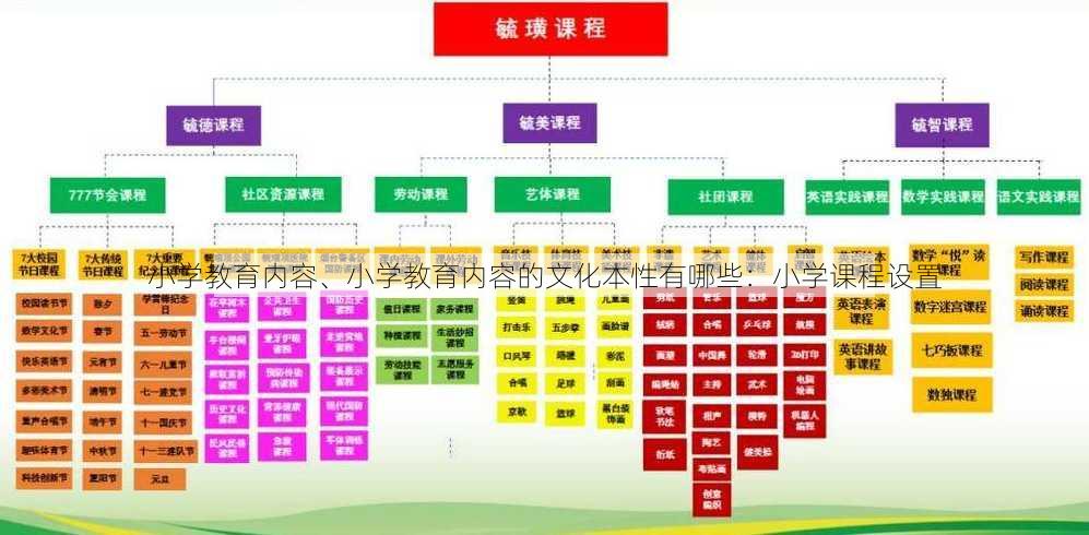 小学教育内容、小学教育内容的文化本性有哪些：小学课程设置