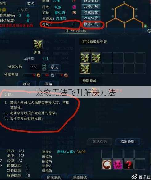 宠物无法飞升解决方法