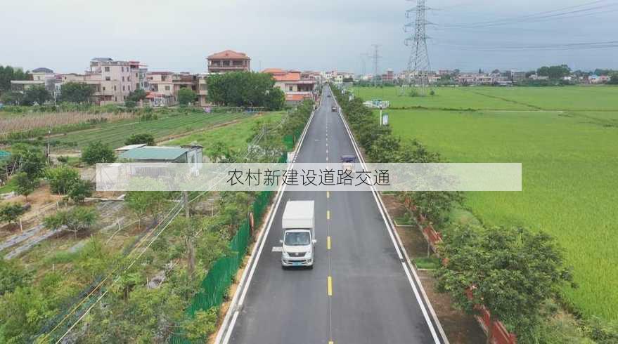 农村新建设道路交通