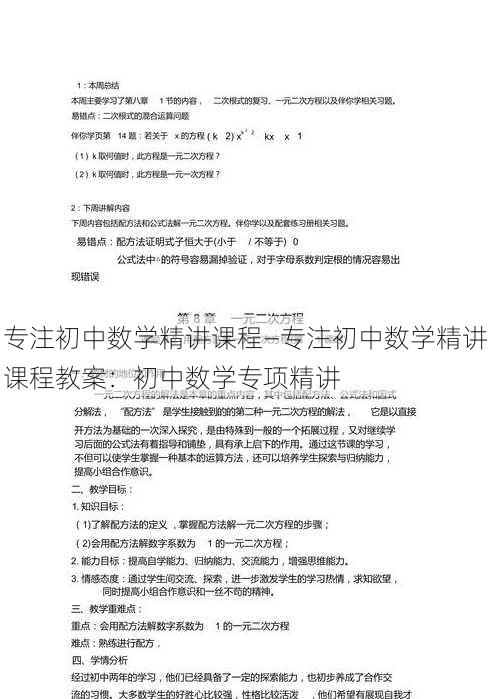 专注初中数学精讲课程—专注初中数学精讲课程教案：初中数学专项精讲