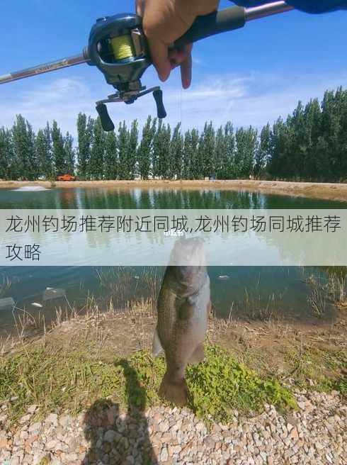 龙州钓场推荐附近同城,龙州钓场同城推荐攻略