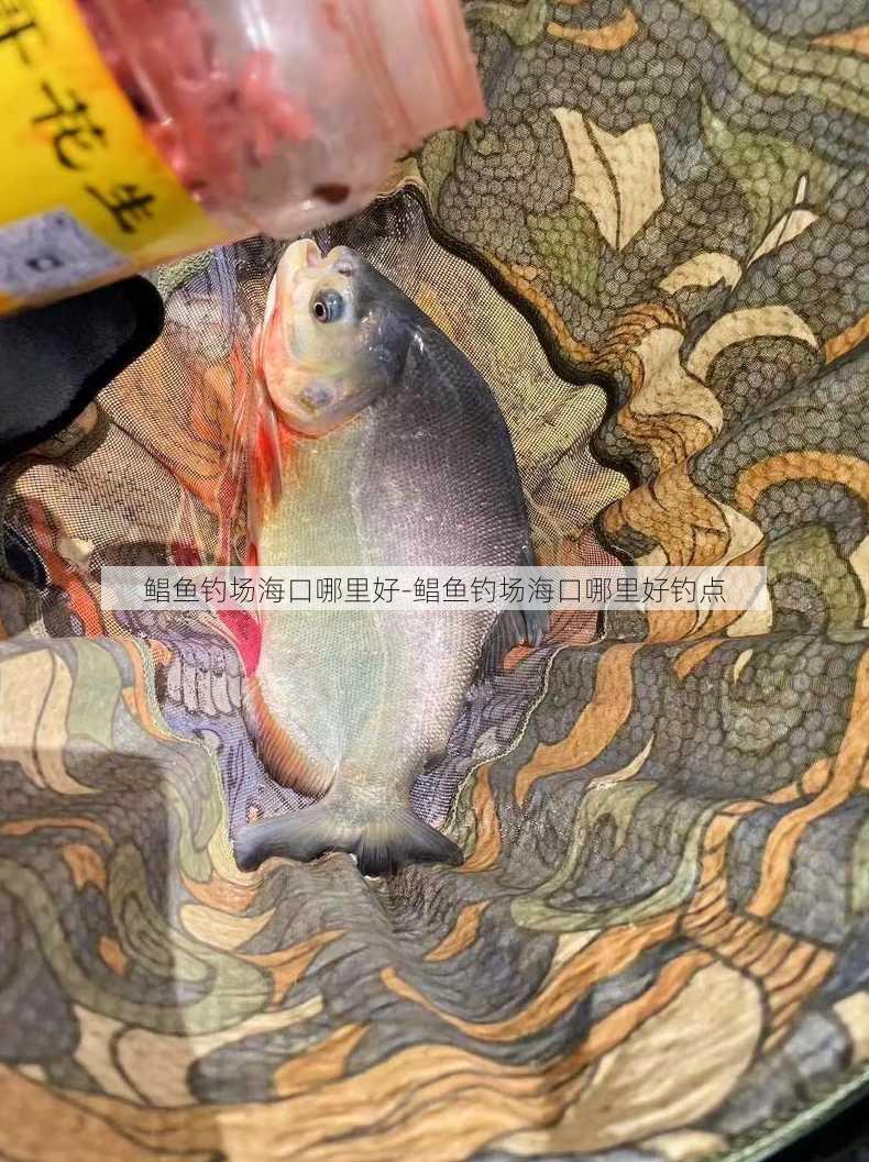 鲳鱼钓场海口哪里好-鲳鱼钓场海口哪里好钓点