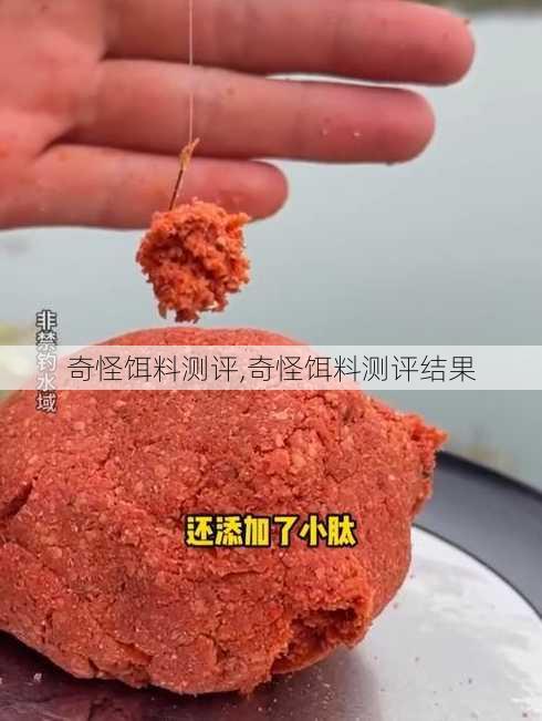 奇怪饵料测评,奇怪饵料测评结果