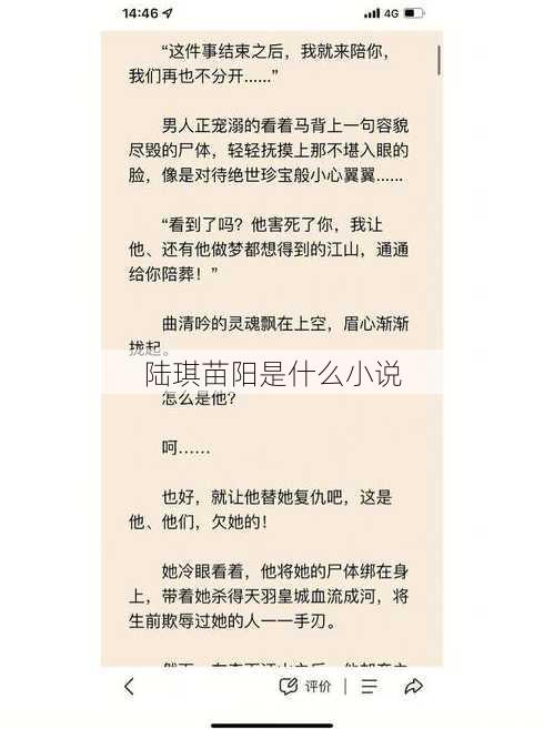 陆琪苗阳是什么小说