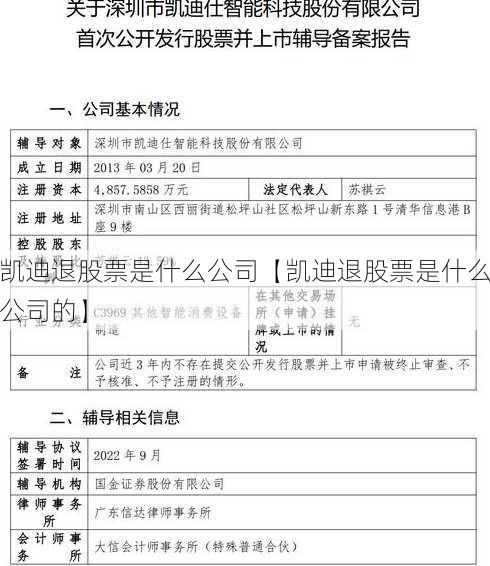 凯迪退股票是什么公司【凯迪退股票是什么公司的】