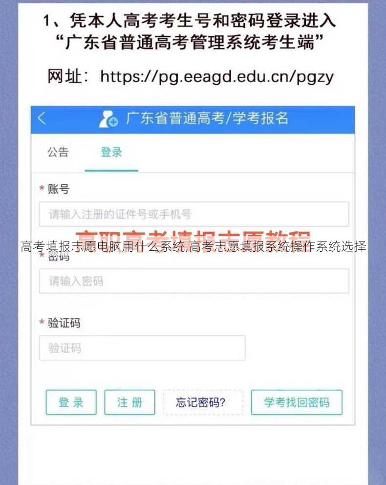 高考填报志愿电脑用什么系统,高考志愿填报系统操作系统选择