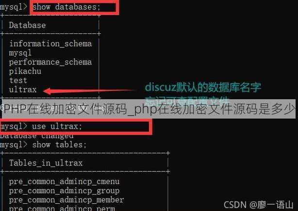 PHP在线加密文件源码_php在线加密文件源码是多少