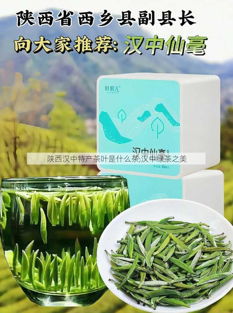 陕西汉中特产茶叶是什么茶,汉中绿茶之美