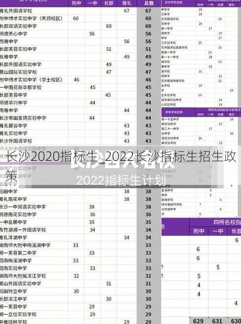 长沙2020指标生_2022长沙指标生招生政策