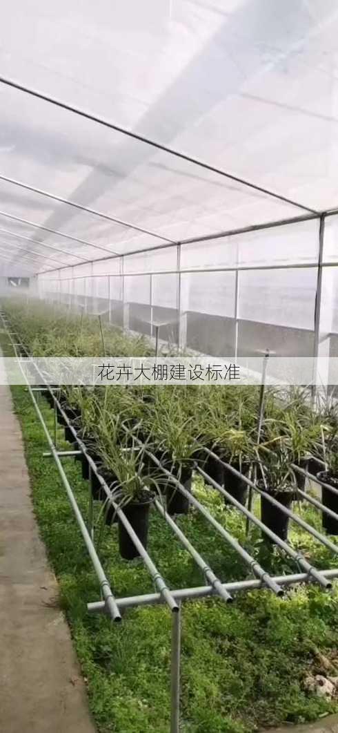 花卉大棚建设标准