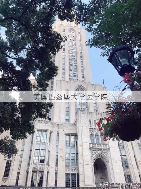 美国匹兹堡大学医学院