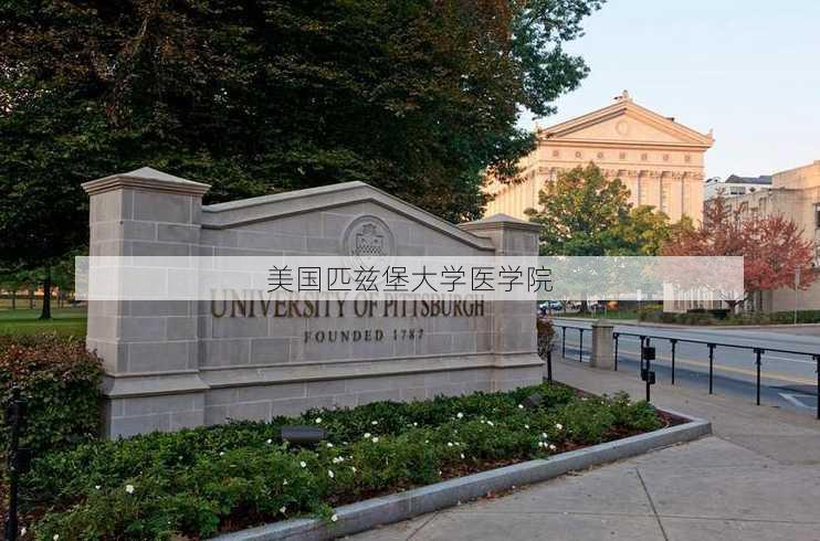 美国匹兹堡大学医学院