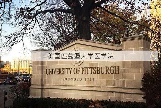 美国匹兹堡大学医学院