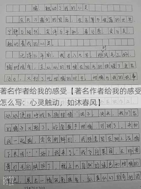 著名作者给我的感受【著名作者给我的感受怎么写：心灵触动，如沐春风】