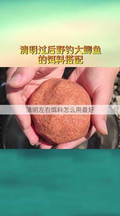 清明左右饵料怎么用最好