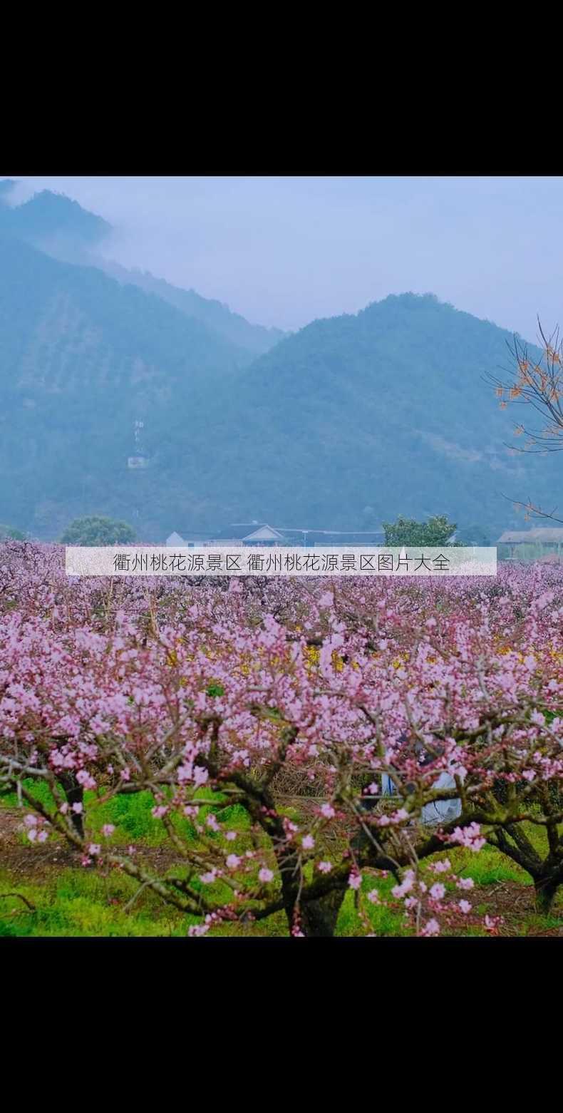 衢州桃花源景区 衢州桃花源景区图片大全