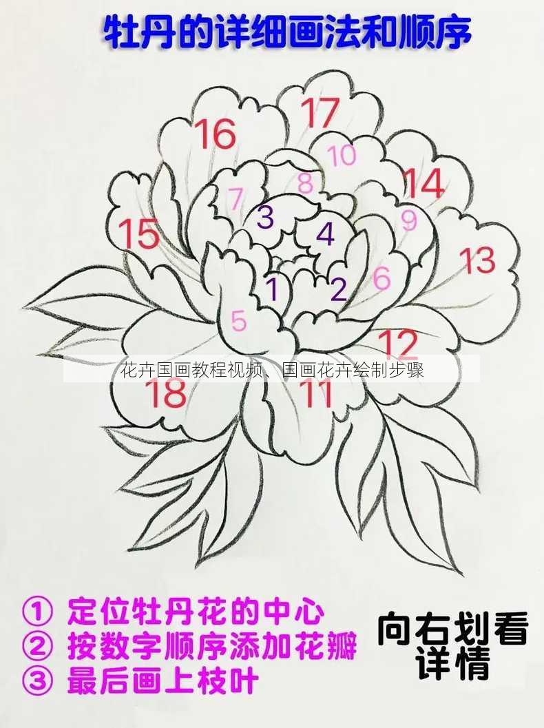 花卉国画教程视频、国画花卉绘制步骤