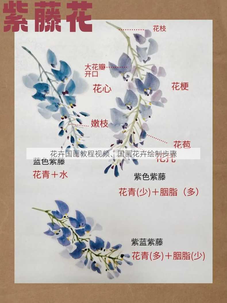 花卉国画教程视频、国画花卉绘制步骤