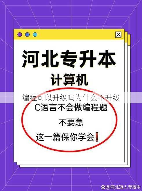 编程可以升级吗为什么不升级