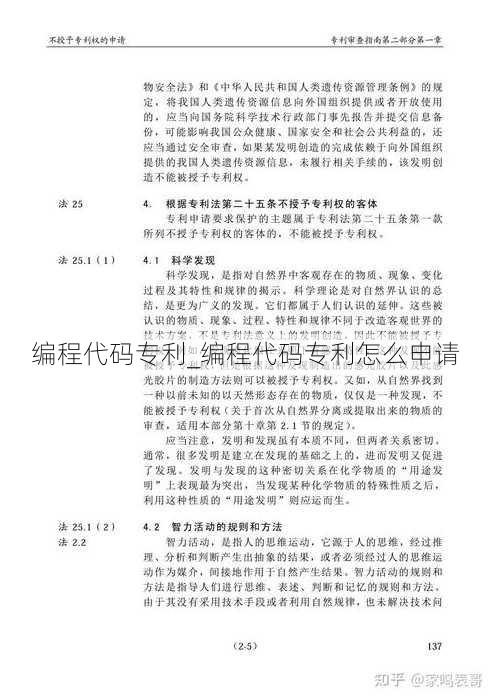 编程代码专利_编程代码专利怎么申请