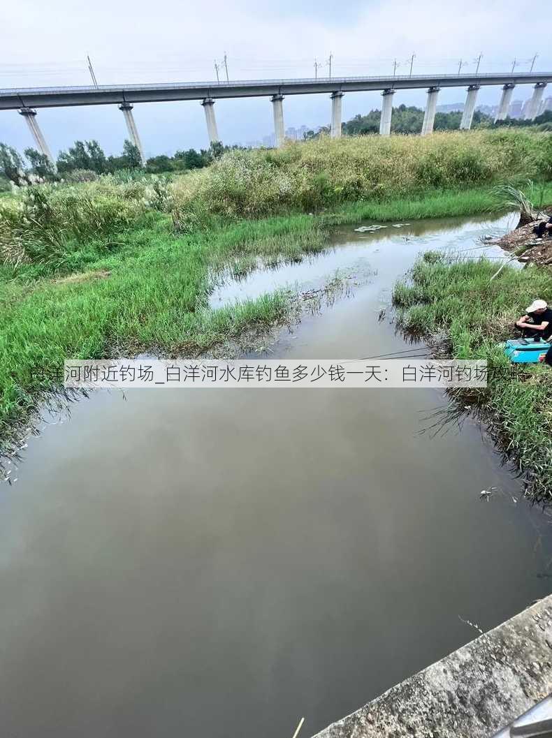 白洋河附近钓场_白洋河水库钓鱼多少钱一天：白洋河钓场攻略