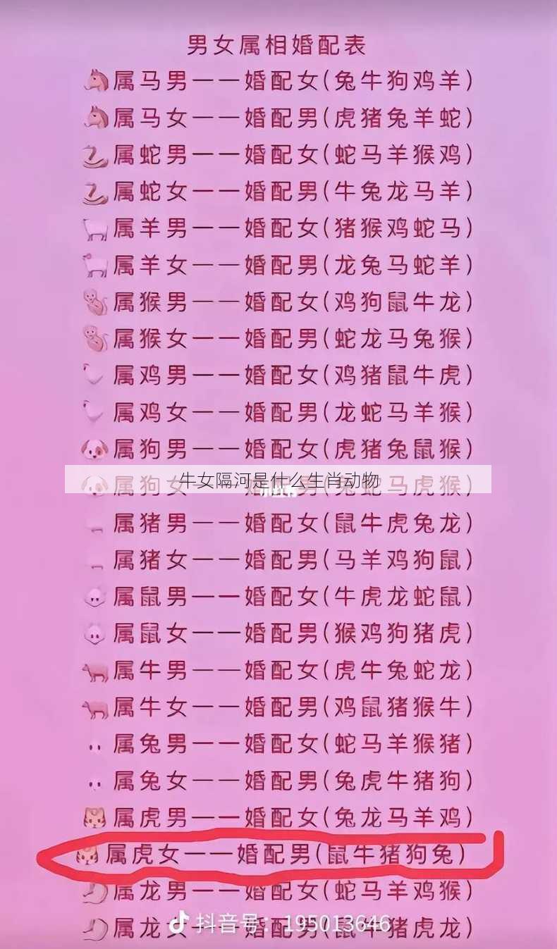 牛女隔河是什么生肖动物