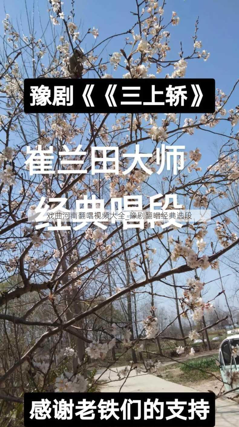 戏曲河南翻唱视频大全_豫剧翻唱经典选段