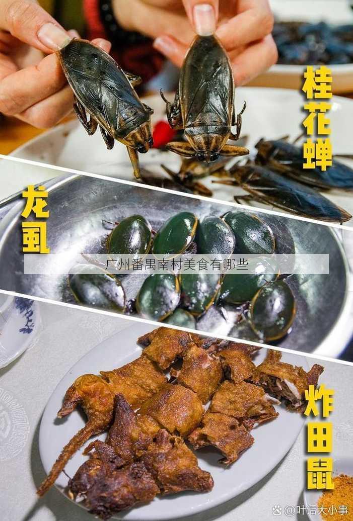 广州番禺南村美食有哪些