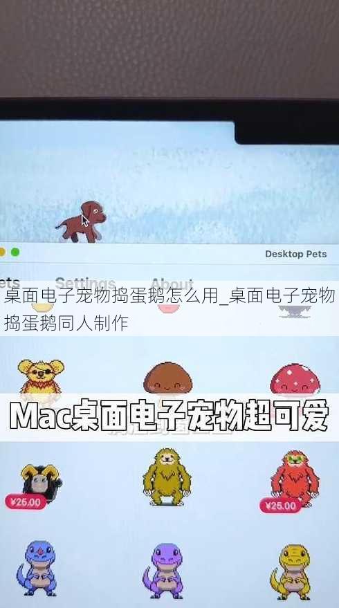 桌面电子宠物捣蛋鹅怎么用_桌面电子宠物捣蛋鹅同人制作